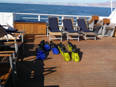 Snorkel Gear Snorkel Gear