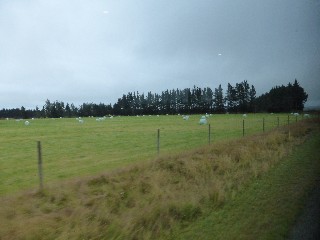 buitfull areas of New Zeland